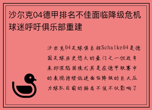 沙尔克04德甲排名不佳面临降级危机球迷呼吁俱乐部重建