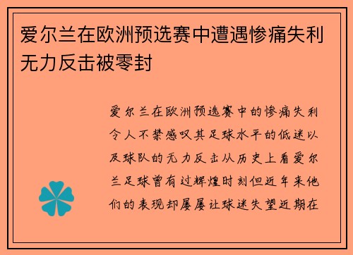 爱尔兰在欧洲预选赛中遭遇惨痛失利无力反击被零封