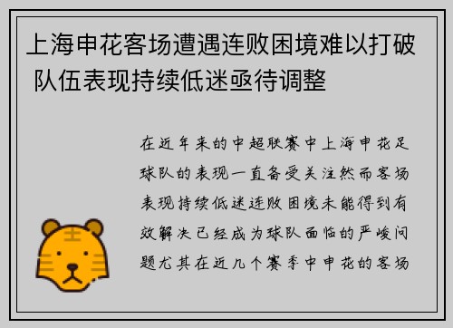 上海申花客场遭遇连败困境难以打破 队伍表现持续低迷亟待调整